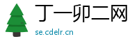 丁一卯二网